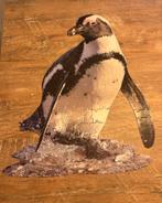 Madd capp puzzel pinguin, Ophalen of Verzenden, Meer dan 50 stukjes, 6 jaar of ouder