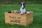 Bull terrier pups, Dieren en Toebehoren, Honden | Jack Russells en Terriërs, Bull Terriër, Rabiës (hondsdolheid), 15 weken tot 1 jaar