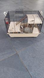 Chinese dwerghamster, Minder dan 60 cm, Minder dan 75 cm, Ophalen of Verzenden, Zo goed als nieuw