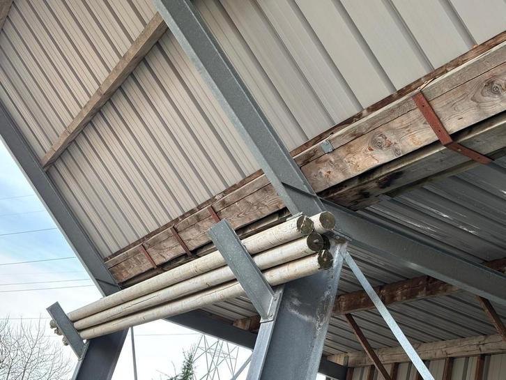 Dennen palen - Hout voor constructie, Tuin en Terras, Palen, Balken en Planken, Palen, 250 cm of meer, Ophalen