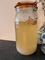 Waterkefirkorrels biologisch, Diversen, Ophalen of Verzenden