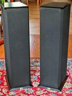 BNS Ellessy 11 - 2 weg systeem basreflex, Gebruikt, 60 tot 120 watt, Front, Rear of Stereo speakers, Ophalen