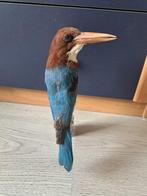 Vintage opgezette Smyrna ijsvogel taxidermy, Ophalen of Verzenden, Gebruikt, Vogel, Opgezet dier