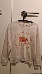 Catwalk Junkie sweater beige, Beige, Ophalen of Verzenden, Zo goed als nieuw, Catwalk Junkie