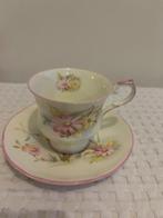 Springfield kop & schotel Vintage, Ophalen of Verzenden, Zo goed als nieuw, Porselein, Kop en/of schotel