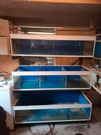 Aquarium kweekstelling, Dieren en Toebehoren, Vissen | Aquaria en Toebehoren, Ophalen, Leeg aquarium