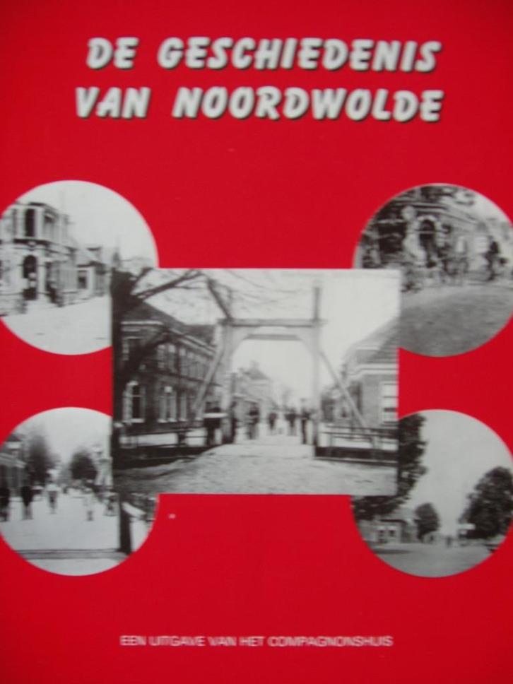 De geschiedenis van Noordwolde. Frl. Titus de Boer., Boeken, Geschiedenis | Stad en Regio, Zo goed als nieuw, 20e eeuw of later