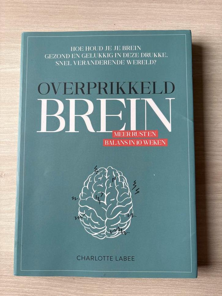 Overprikkeld Brein - Nette Staat, Boeken, Psychologie, Zo goed als nieuw, Cognitieve psychologie, Ophalen of Verzenden