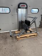 Star Trac 45 degree Calf raise/ Calf extension/