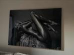 Cobra Art Purification 170x120cm Plexiglas, Ophalen