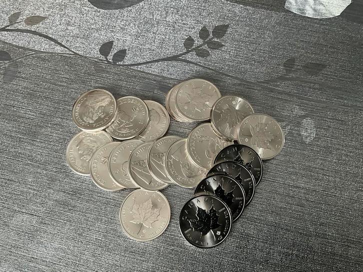 20 Zilveren Krugerrands & Maple Leafs tube, Postzegels en Munten, Munten | Nederland, Losse munt, Overige waardes, Koningin Wilhelmina