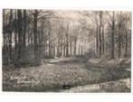 Prinsenhage NB, Liesbosch ongelopen,, Verzenden, Voor 1920, Ongelopen, Noord-Brabant