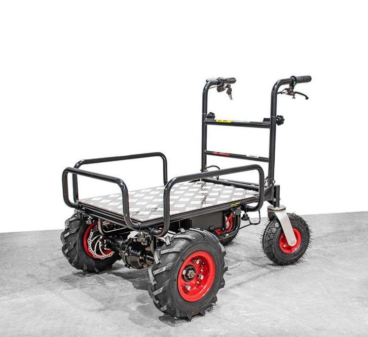 Elektrische transportwagen / Plateauwagen, Tuin en Terras, Kruiwagens, Nieuw, Elektrisch, Ophalen