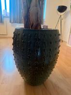 plantenbak Laos Emperor green, Ophalen, Halfschaduw, Minder dan 100 cm