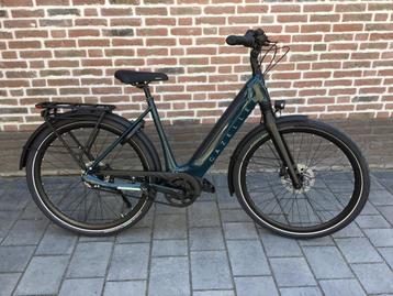 Nieuwe Gazelle Ultimate C8 plus HMB belt drive 2024