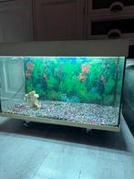 Aquarium 125 liter juwel, Ophalen, Zo goed als nieuw, Leeg aquarium