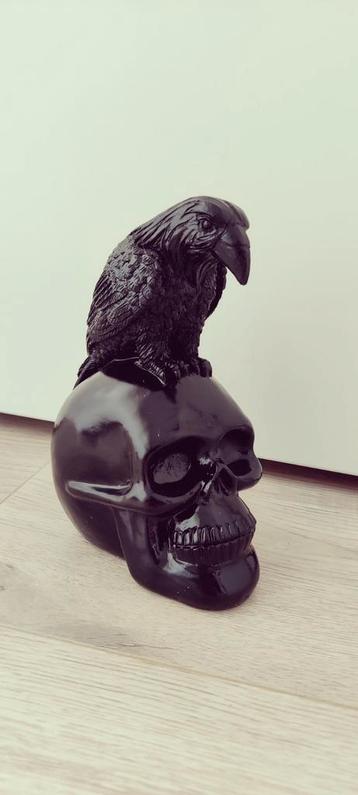 Mooie obsidiaan zwarte kraai op schedel beeld skull beschikbaar voor biedingen