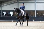 Instructie aangeboden, Stalling of Weidegang