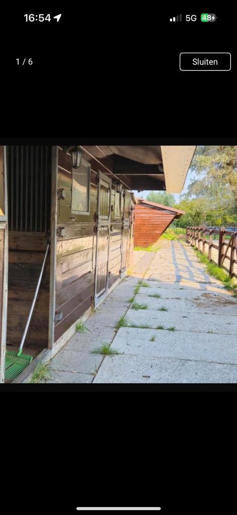 Hulp gezocht op prive stal in ridderkerk, Dieren en Toebehoren, Paarden en Pony's | Dekens en Dekjes, Nieuw, Ophalen of Verzenden