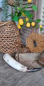 Koe hoorn decoratie, Huis en Inrichting, Woonaccessoires | Overige, Ophalen of Verzenden