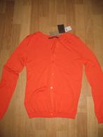 Steps Vest Cardigan Oranje Maat S Ongedragen Bijna Vintage, Maat 38/40 (M), Nieuw, Oranje, Ophalen of Verzenden