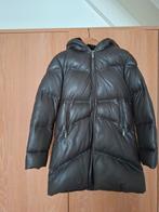 Donders 1860 - donkerbruine gewatteerde leren jas maat 40, Kleding | Dames, Maat 38/40 (M), Bruin, Verzenden, Zo goed als nieuw