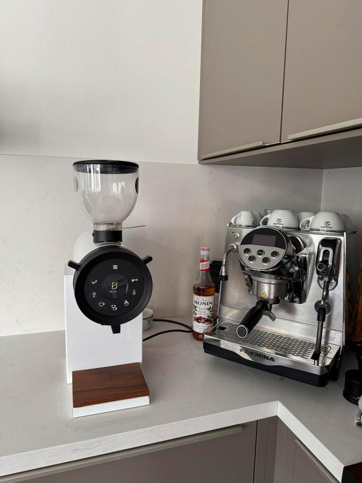 Faema Faemina & Bentwood 63 vertical, Witgoed en Apparatuur, Koffiemachine-accessoires, Zo goed als nieuw, Ophalen