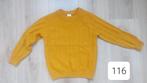 Trui maat 116, Kinderen en Baby's, Kinderkleding | Maat 116, Ophalen of Verzenden, Gebruikt, Trui of Vest