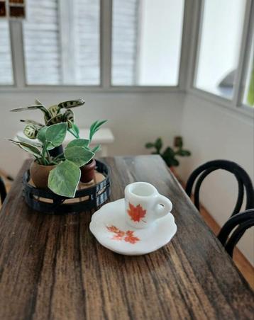 Poppenhuis Servies Herfstlook 1:12  beschikbaar voor biedingen