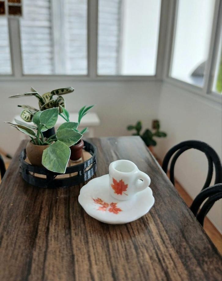 Poppenhuis Servies Herfstlook 1:12, Verzamelen, Poppenhuizen en Toebehoren, Nieuw, Ophalen of Verzenden