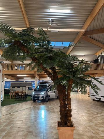 Kunst Palmboom - groot - decoratie - 3 stuks beschikbaar voor biedingen