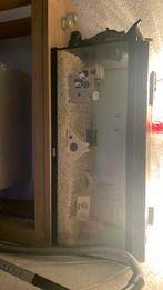 Aquarium met muisjes, Dieren en Toebehoren, Oktober, Vrouwelijk, Muis