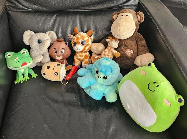 Knuffels Panda en diversen, Kinderen en Baby's, Speelgoed | Knuffels en Pluche, Zo goed als nieuw, Overige typen, Ophalen of Verzenden