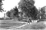't Harde- -Bosgezicht., Verzenden, 1960 tot 1980, Ongelopen, Gelderland