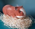Genaaldvilte cavia wol naaldvilten handgemaakt, Ophalen of Verzenden, Nieuw, Overige typen, Wolvilt
