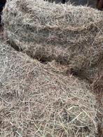 Mooi Hooi  Te  Koop, Dieren en Toebehoren, Toebehoren, 4 paarden of pony's of meer