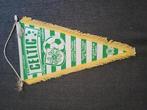 Voetbal vaantje celtic, Ophalen of Verzenden, Gebruikt, Buitenlandse clubs, Vaantje of Sjaal