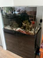 Aquaja diamond line 400 inc kap en red sea apparatuur, Dieren en Toebehoren, Ophalen, Gebruikt, Gevuld zeewateraquarium