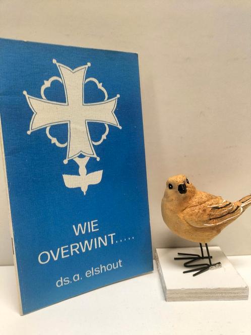 Elshout, Ds. A.; Wie overwint …, Boeken, Godsdienst en Theologie, Gelezen, Christendom | Protestants, Ophalen of Verzenden