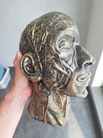Anatomisch model, Antiek en Kunst, Ophalen of Verzenden