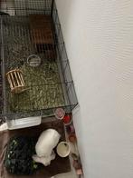 Konijnen Kooi en hok Te Koop, Geslacht onbekend