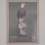 Poster in houte lijst  70x50 eagles vs ajax 2-1, Ophalen of Verzenden, Zo goed als nieuw, Foto of Poster, Minder dan 50 cm