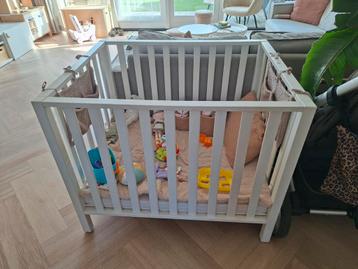 Box baby wit beschikbaar voor biedingen