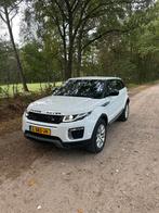 Range Rover Evoque 2.0 TD4 Automaat TOPSTAAT, Automaat, Zwart, 4 cilinders, Wit