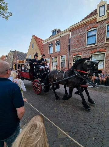 Gezocht goede thuis gezelschaps Friese ruin!