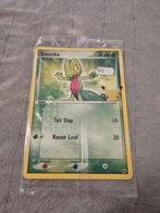 Pokémon TCG 25th Anniversary Jumbo Kaart - Treecko, Ophalen of Verzenden, Nieuw, Losse kaart