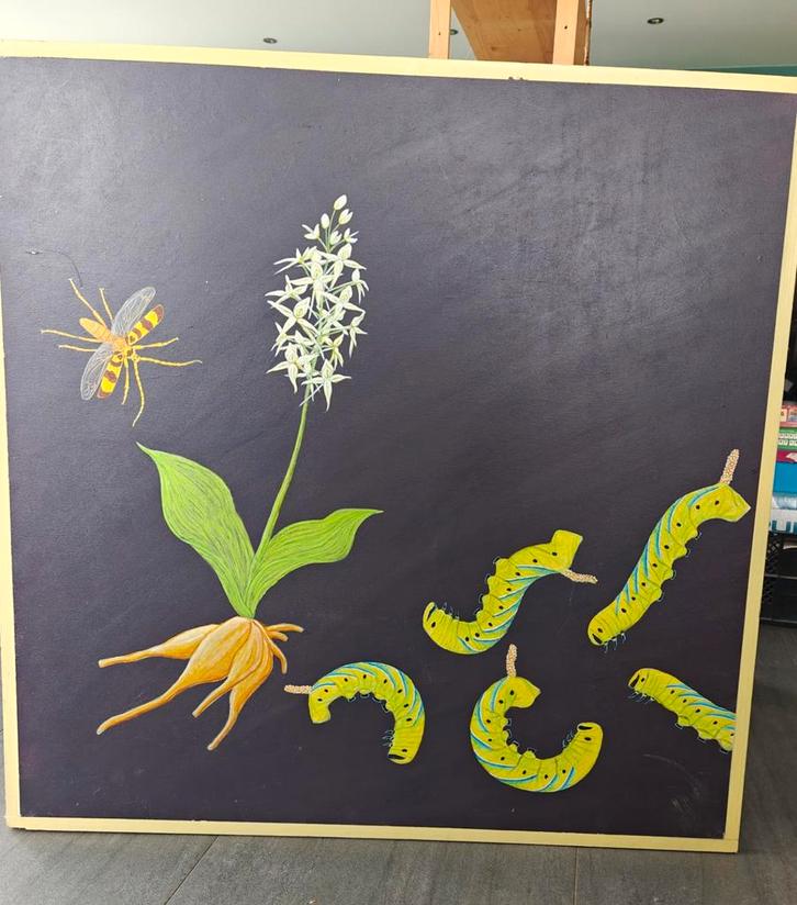 Uniek Schilderij: Bloem en Insecten, Antiek en Kunst, Kunst | Schilderijen | Klassiek, Ophalen of Verzenden