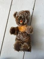 Steiff beer Zotty, Ophalen of Verzenden, Gebruikt, Stoffen beer, Steiff