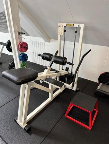 Technogym Isotonic Zittende kuit beschikbaar voor biedingen