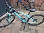 rockrider, Fietsen en Brommers, Fietsen | Crossfietsen en BMX, Ophalen of Verzenden, Gebruikt, Staal, 20 tot 24 inch